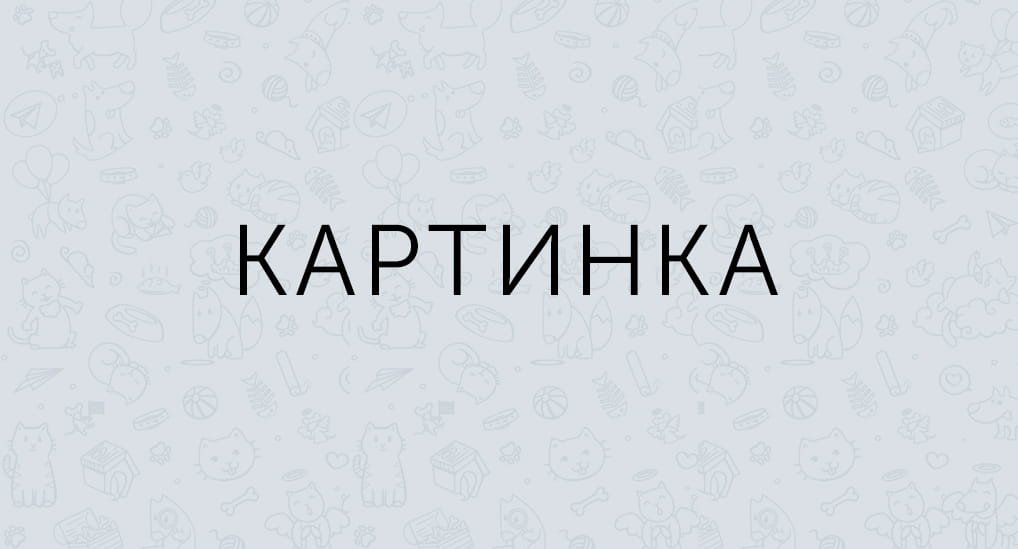 Обязательное страхование грузов